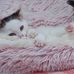 Maureen Conroy - Facebook