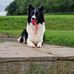 Maureen Conlin - Facebook