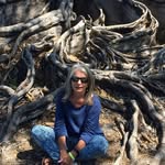 Maureen Corwin - @maureen.corwin - Instagram