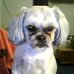 Maureen Cottingham - Facebook