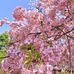 Fukuda Chiho - Facebook