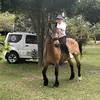 Maureen_Cousins - @maureen_cousins - TikTok