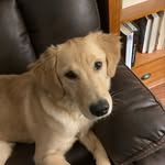 Maureen Crowley - @crowley_maureen - Instagram