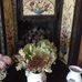 Maureen Cullinane - Facebook