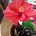 Maureen Daigle - Facebook