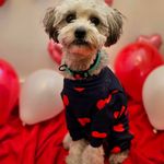 Maureen Moran Daigle - @momoran2312 - Instagram