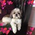 Maureen Delaney - Facebook