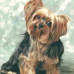 Maureen Delaney Boyle - @maureen.db1 - Instagram
