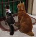 Maureen Dias Heng - Facebook