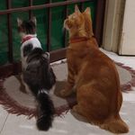 Maureen Dias Heng - @maureendiasheng - Instagram