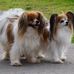 Maureen Dick - Facebook