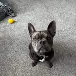 Maureen Dick - @maureen.dick.3 - Instagram