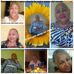 Dilorenzo Marin - Facebook