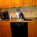 Maureen Tierney DeStefano - Facebook