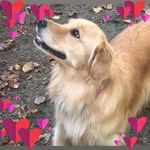Maureen Dodd Clapperton - @maureenclapp - Instagram