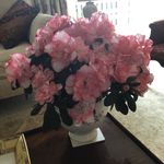 Maureen Dodson - @mo_dodson1 - Instagram