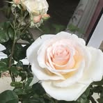 Maureen Doggett - Facebook