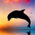 Maureen Dolphin - @mistressdolphin - Instagram