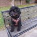 Maureen Donaghy - Facebook