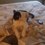 Maureen Donaghy Felle - @maureenfelle - Instagram