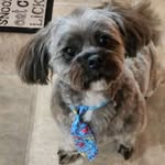 Maureen Anne Gilmore-Donald - @maureengilmoredonald - Instagram