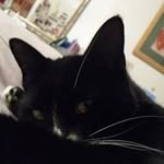 Maureen Donald - @maureenmodonald - Instagram