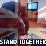 Maureen Donald - @donald.maureen - Instagram