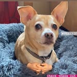 Maureen K Donald - @knittingmerino - Instagram
