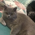 Maureen Donaldson - @dracsback1948 - Instagram