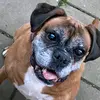 maureen.donegan40 - @maureendonegankea - TikTok