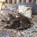 Maureen Doucette - Facebook