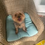 Maureen - @maureendowler2025 - Instagram