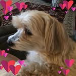 Maureen Dowd - @maureen.dowd.98 - Instagram