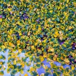 Maureen Dowd - @dowd9869 - Instagram