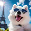user8582594000682 - @maureen.dowd - TikTok