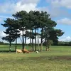 maureendrury161 - @maureendrury161 - TikTok