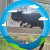 duffmaureen - @duffmaureen - TikTok