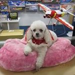 Maureen Kilby Dunphy - @dunphymaureen - Instagram