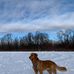 Maureen Durso - Facebook