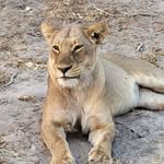 Maureen Breckenridge Earley - @maureen_breckenridge_earley - Instagram