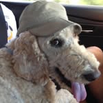 Maureen Earle - @maureenandrichard - Instagram