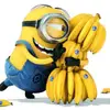maureenearle0 - @naughty_little_yellow - TikTok