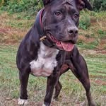 @maureen_eckert__2883 - Instagram