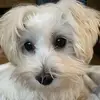 maureenahlert - @maureenahlert - TikTok