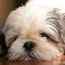 Maureen Eldridge - Facebook