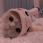 @maur.eenelia - Instagram