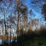 Maureen Keller - @maureenkeller49 - Instagram