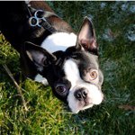 Maureen Ellis - @mellis1951 - Instagram