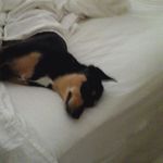 Maureen Ellis - @maureen.ellis.5437 - Instagram