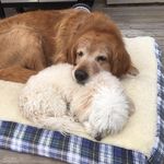 Maureen Ellis - @maureen.ellis1 - Instagram